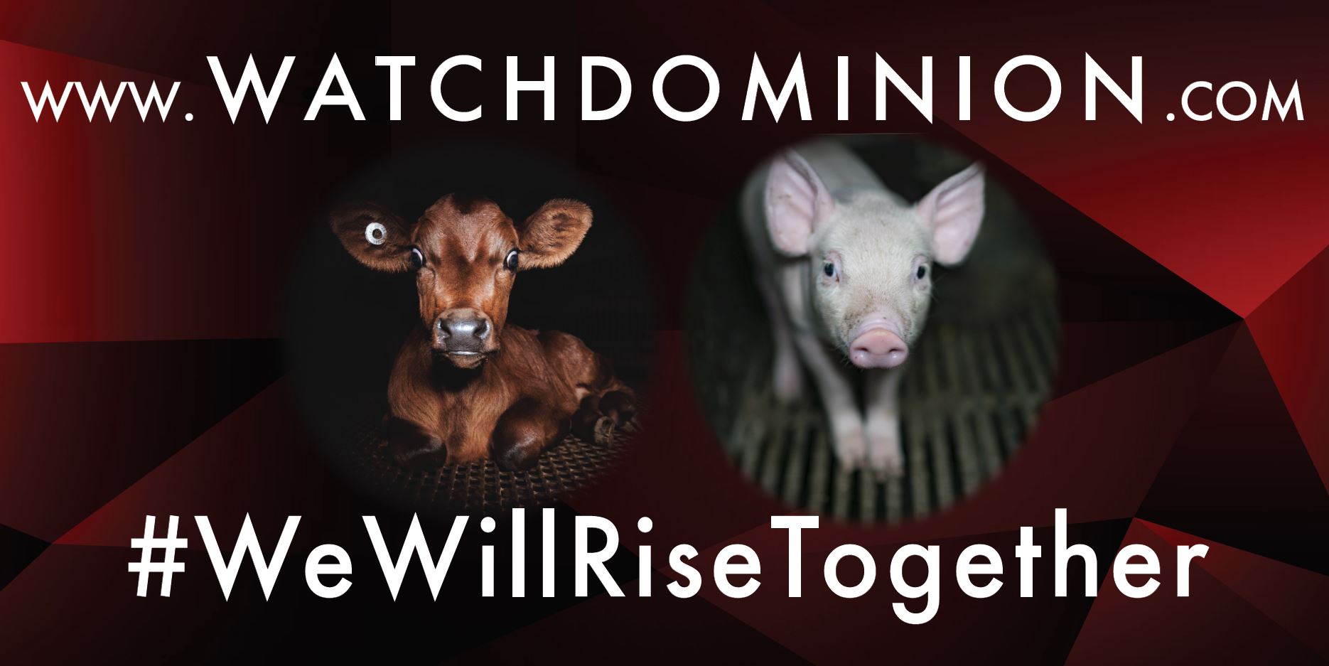 WatchDominion.com - We Will Rise Together #2a