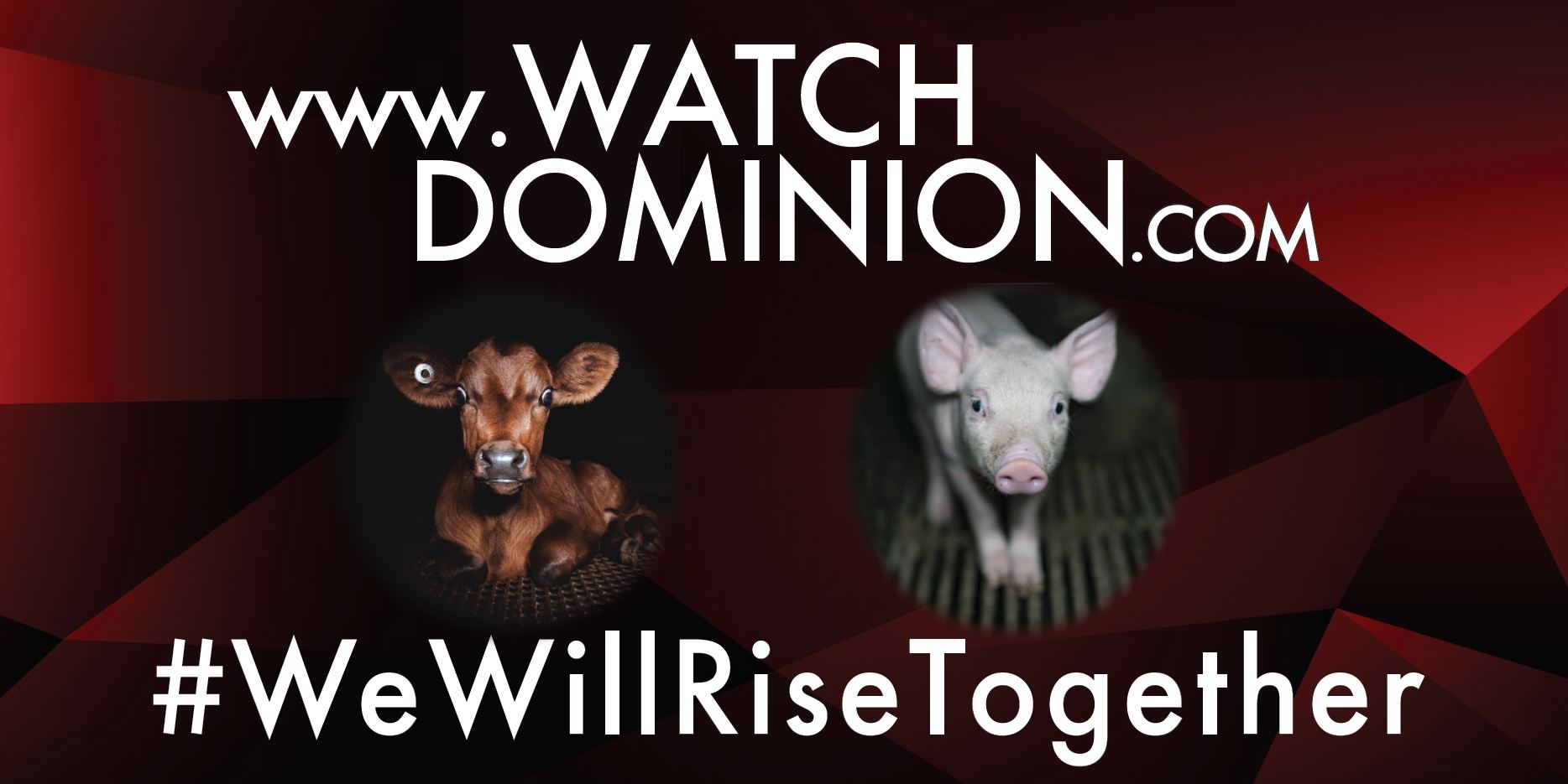 WatchDominion.com - We Will Rise Together #2b